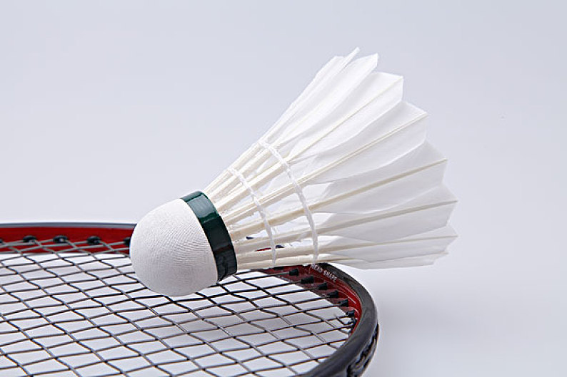 中强调人格 中强调人格