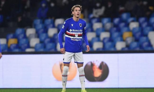 场上的统治 场上的统治